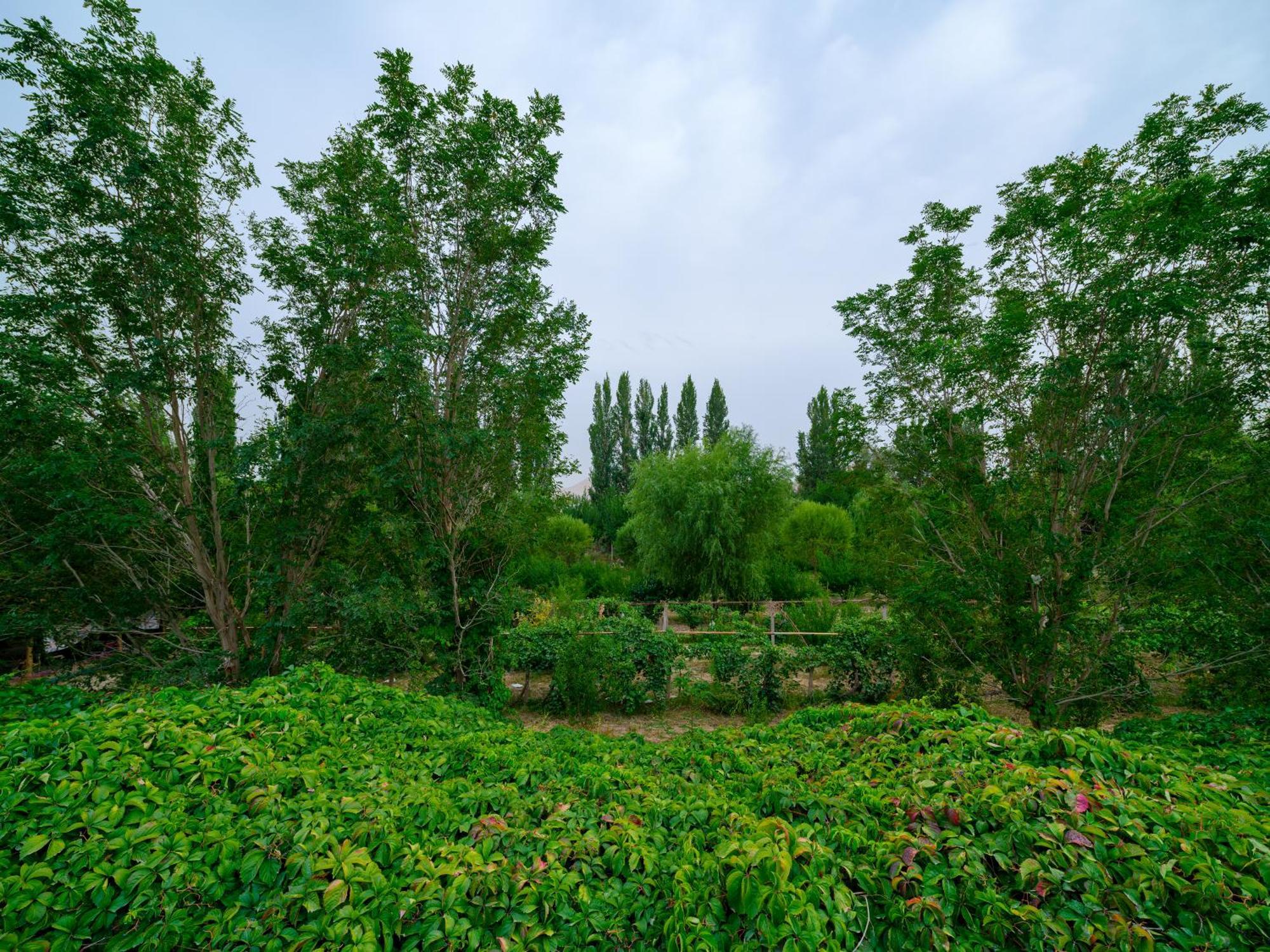 Dunhuang Hu Yang Inn Ngoại thất bức ảnh